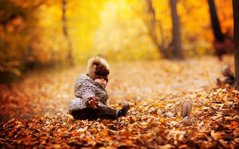 2017雞年女孩起名