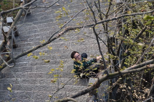 海真易經(jīng)桂林行